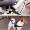 Sykkelfeste til hund Pawise Sykkelfeste til hund Pawise