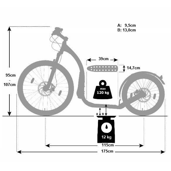 Trollbike Fat Eagle