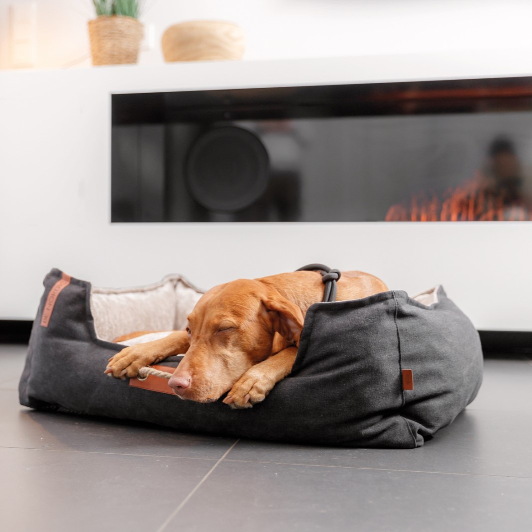 Trixie BE NORDIC hundeseng Föhr