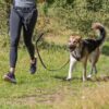 Trixie magebelte med strikk kobbel M-L Trixie magebelte med strikk kobbel M-L