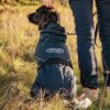 Varmedekken Catago FIR-Tech Trainer Hundedekken Varmedekken Catago FIR-Tech Trainer Hundedekken