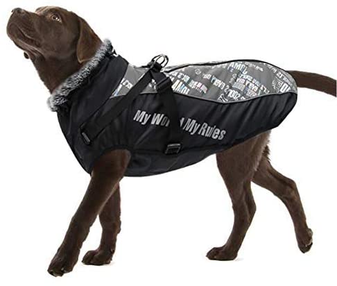 Vinterdekken til hund med refleks, sele og varm krage