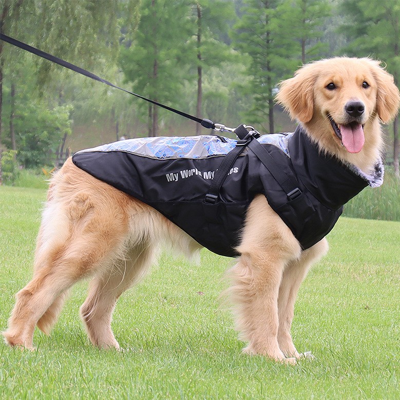 Vinterdekken til hund med refleks, sele og varm krage