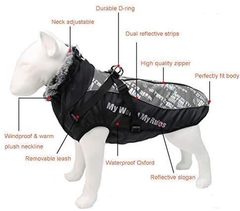 Vinterdekken til hund med refleks, sele og varm krage