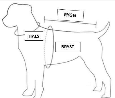 Vinterdekken til hund med refleks, sele og varm krage