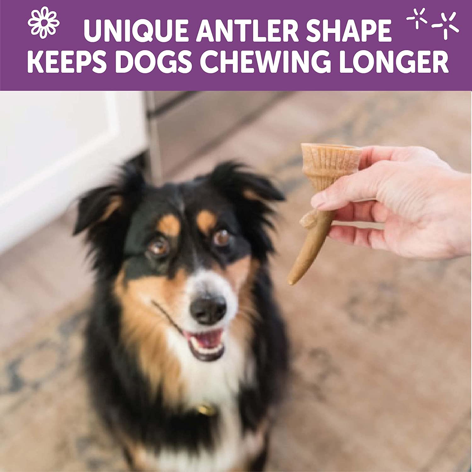 Whimzees Occupy Antler Dental Vegetar Tygg i pose
