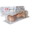 AlphaSpirit Serranoskinkebein AlphaSpirit Serranoskinkebein