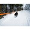 Non-Stop Dogwear Bungee Leash Elastisk Kjørestrikk Kobbel Non-Stop Dogwear Bungee Leash Elastisk Kjørestrikk Kobbel
