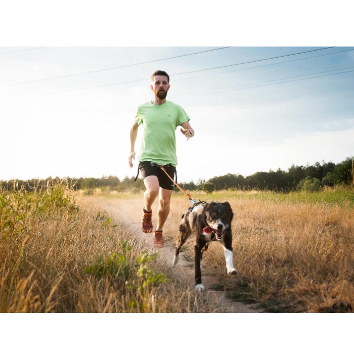 Non-Stop Dogwear Bungee Leash