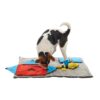 Buster ActivityMat Startersett Aktivitetsmatte Hjernetrim Hund Buster ActivityMat Startersett Aktivitetsmatte Hjernetrim Hund