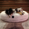 Canelana rund hundeseng i 100% ull Canelana rund hundeseng i 100% ull