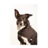 Canelana Ulldekken Thermo Vinterdekken Hund Grønn Canelana Ulldekken Thermo Vinterdekken Hund Grønn