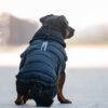CATAGO FIR-Tech puffer hundedekken CATAGO FIR-Tech puffer hundedekken