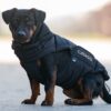 CATAGO FIR-Tech puffer hundedekken CATAGO FIR-Tech puffer hundedekken