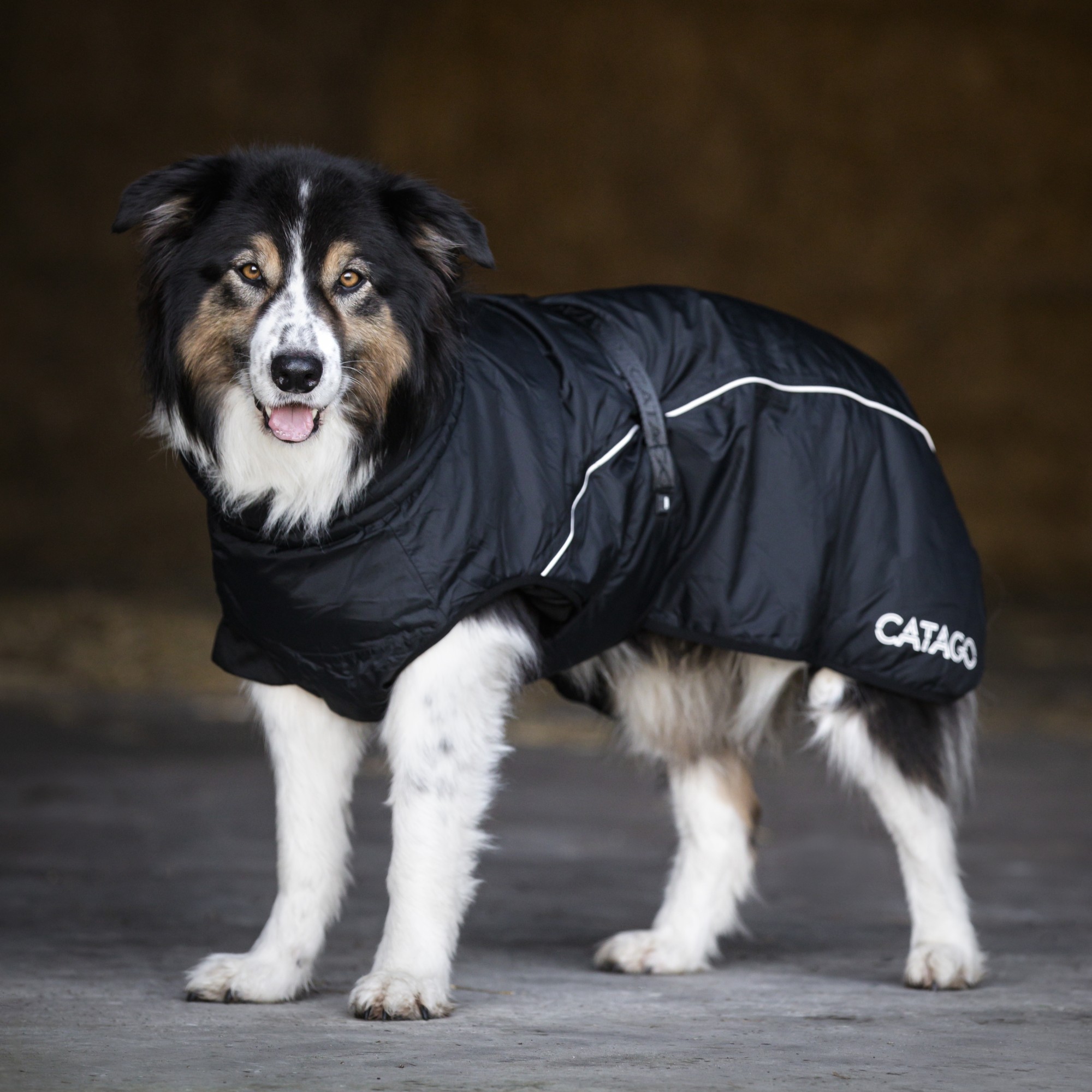 CATAGO FIR-Tech Vinterdekken for Hund