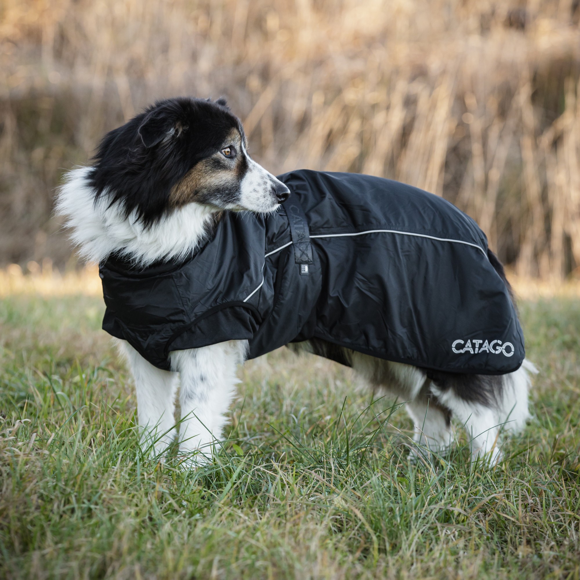 CATAGO FIR-Tech Vinterdekken for Hund