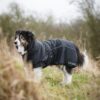 CATAGO FIR-Tech Vinterdekken for Hund CATAGO FIR-Tech Vinterdekken for Hund