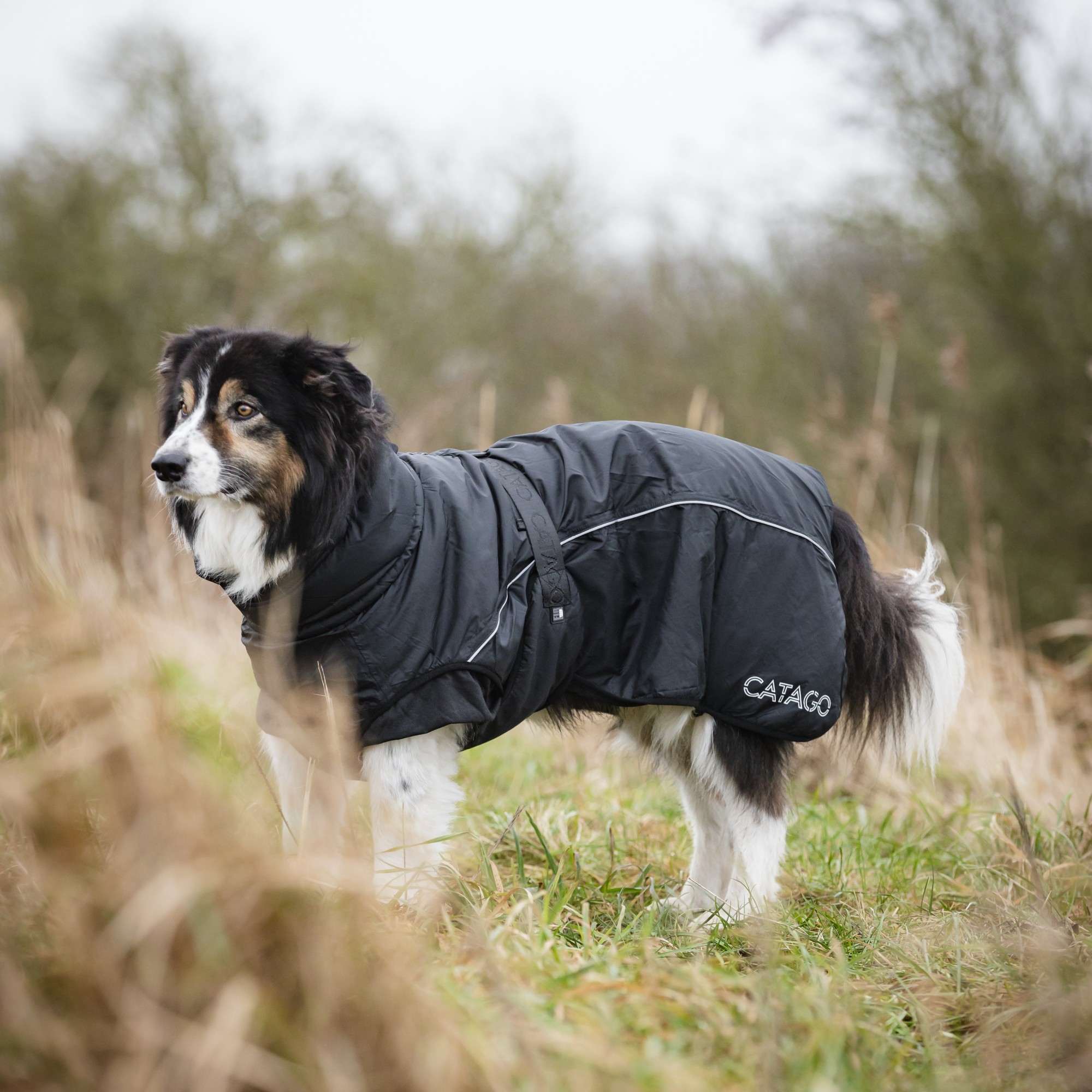 CATAGO FIR-Tech Vinterdekken for Hund