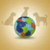 Chuckit! EcoFetch Ball Medium Chuckit! EcoFetch Ball Medium