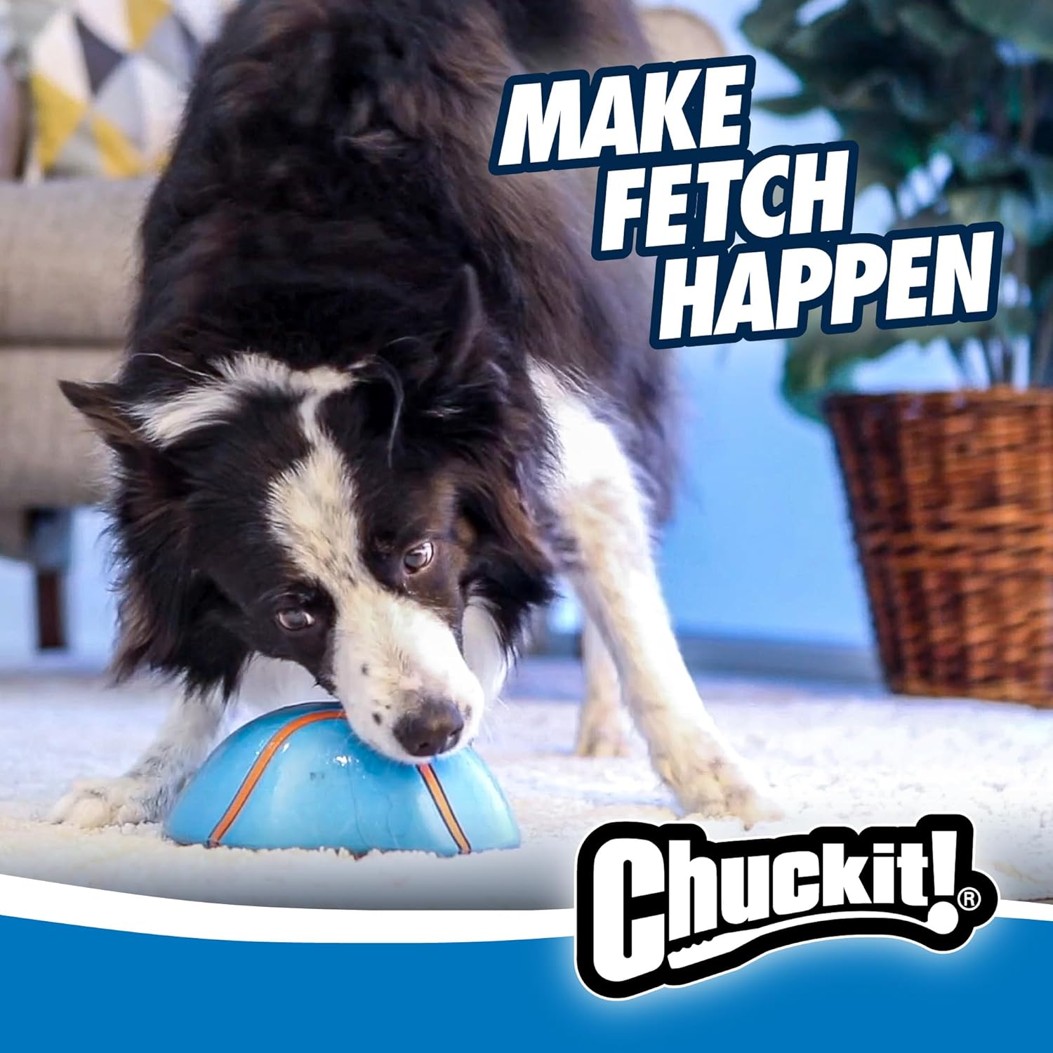 Chuckit! Indoor Super Slider Dog Toy