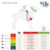 Curli Belka Comfort Harness Hundesele Rød (5 størrelser) Curli Belka Comfort Harness Hundesele Rød (5 størrelser)
