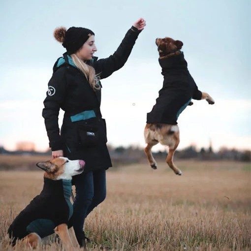 DogCoach Vinterparkas - Damemodell
