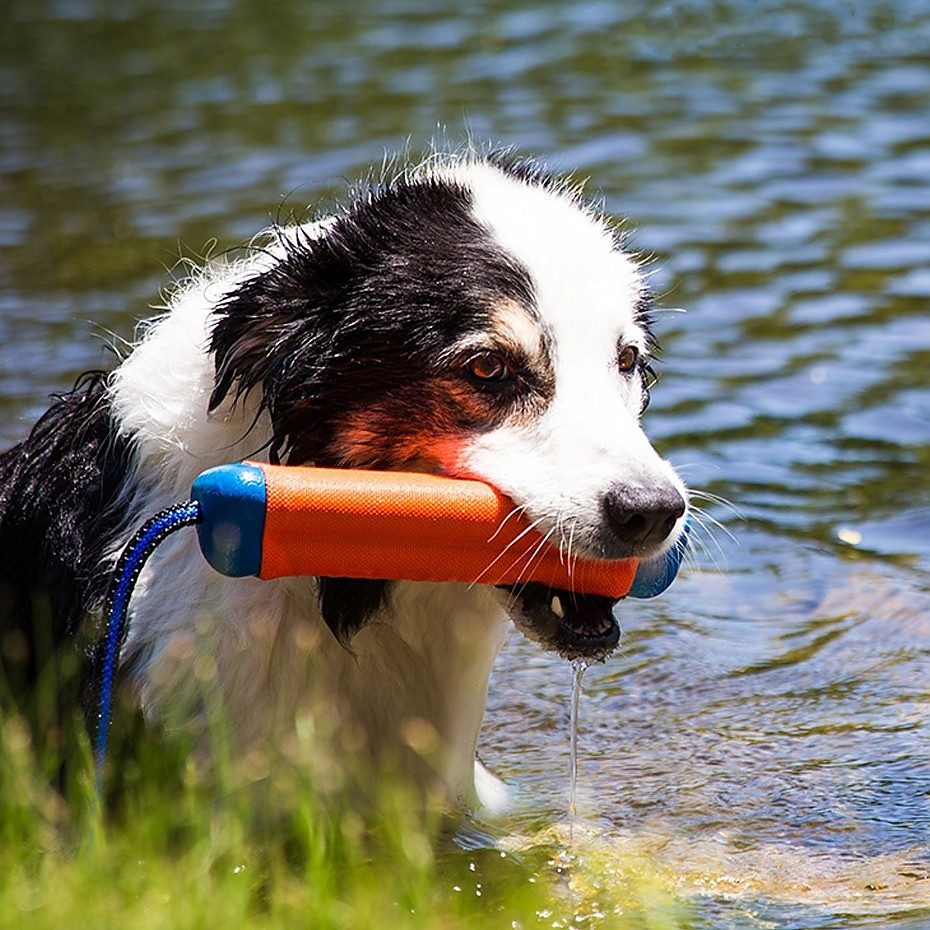 Chuckit! Amphibious Flytende Bumper Vannleke M Chuckit! Amphibious Flytende Bumper Vannleke M