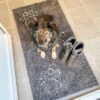 Dgs Dirty Dog gulvmatter XL 152cm Dgs Dirty Dog gulvmatter XL 152cm