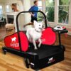 DogPACER MINI tredemølle DogPACER MINI tredemølle