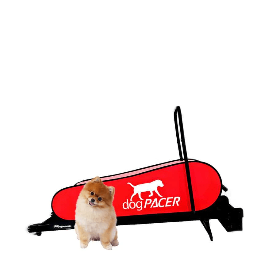 DogPACER MINI tredemølle