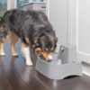 Petsafe drinkwell drikkefontene 7,5L Petsafe drinkwell drikkefontene 7,5L