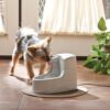 Petsafe drinkwell drikkefontene mini Petsafe drinkwell drikkefontene mini