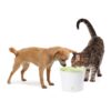 Drikkefontene Catit Fresh & Clear 3 liter Drikkefontene Catit Fresh & Clear 3 liter