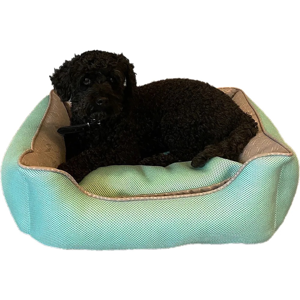 hundeseng Tyra