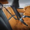 Ezydog Isofix sikkerhetsbelte bilbelte Ezydog Isofix sikkerhetsbelte bilbelte