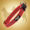 Julius-K9 Super grip halsbånd Julius-K9 Super grip halsbånd