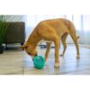 KONG Licks Reward Slikkeleke Aktivitetsleke KONG Licks Reward Slikkeleke Aktivitetsleke