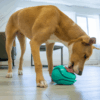 KONG Licks Reward Slikkeleke Aktivitetsleke KONG Licks Reward Slikkeleke Aktivitetsleke