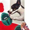 KONG Licks Reward Slikkeleke Aktivitetsleke KONG Licks Reward Slikkeleke Aktivitetsleke