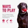 Kong Tug draleke til hund Kong Tug draleke til hund