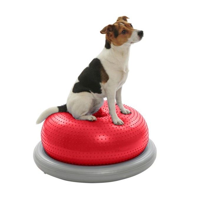 Kruuse Physio Holder for Doughnut Ball Balansepute