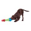 Linkables Twist fra PetSafe Linkables Twist fra PetSafe