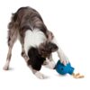 Linkables Orb fra PetSafe Linkables Orb fra PetSafe