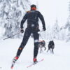 Non-Stop Dogwear Løype Belt Snørekjøring Ski Belte Non-Stop Dogwear Løype Belt Snørekjøring Ski Belte