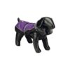 DGS Aspen Dog Jacket Hundedekken Vinterdekken DGS Aspen Dog Jacket Hundedekken Vinterdekken