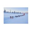 Non-Stop Dogwear Nansen Nome Harness 5.0 Trekksele Non-Stop Dogwear Nansen Nome Harness 5.0 Trekksele