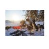 Non-Stop Dogwear Nansen Nome Harness 5.0 Trekksele Non-Stop Dogwear Nansen Nome Harness 5.0 Trekksele