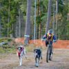 Non-Stop Dogwear Bungee Leash Double - Kjørestrikk med hanefot Non-Stop Dogwear Bungee Leash Double - Kjørestrikk med hanefot