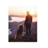 Non-Stop Dogwear Ferd Belt Magebelte / Trekkbelte / Turbelte Hund Non-Stop Dogwear Ferd Belt Magebelte / Trekkbelte / Turbelte Hund