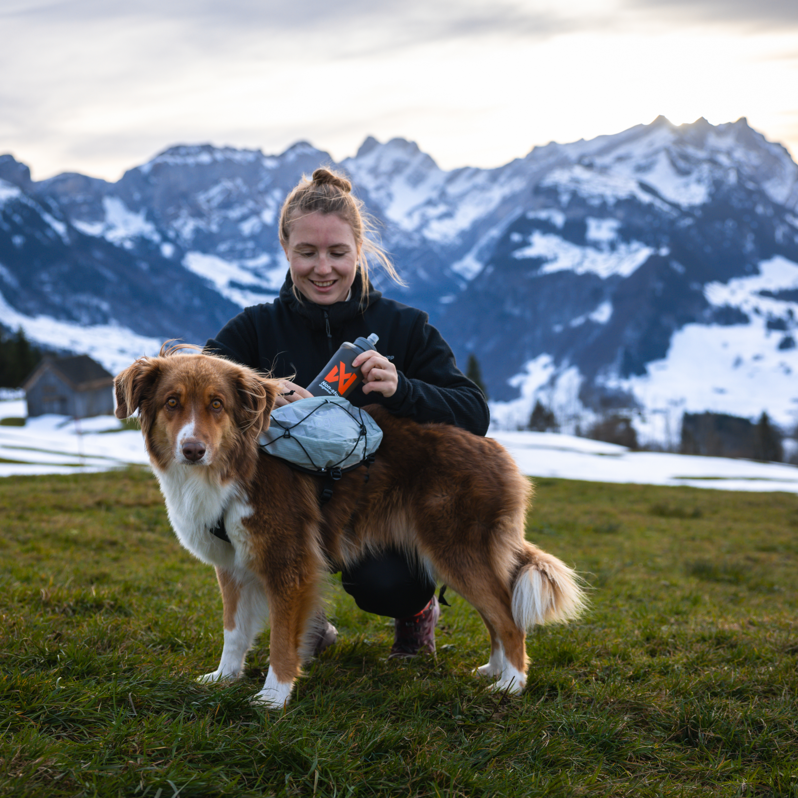 Non-Stop Dogwear Trail Light Dog Backpack Lett Kløv Non-Stop Dogwear Trail Light Dog Backpack Lett Kløv